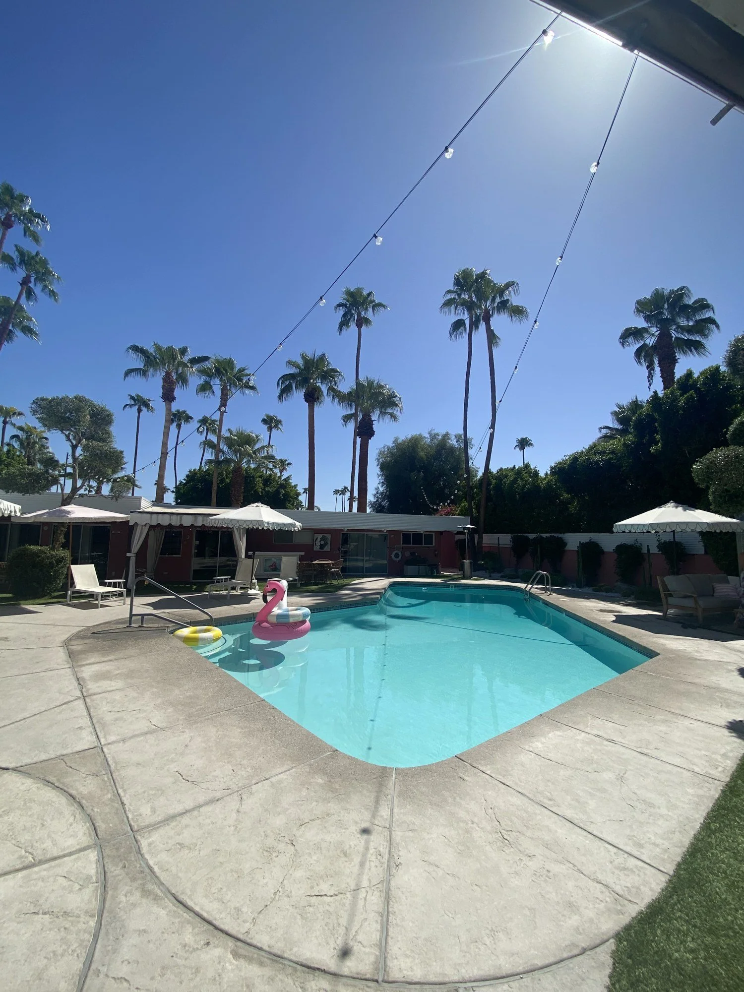 The courtyard pool by day with a flamingo float