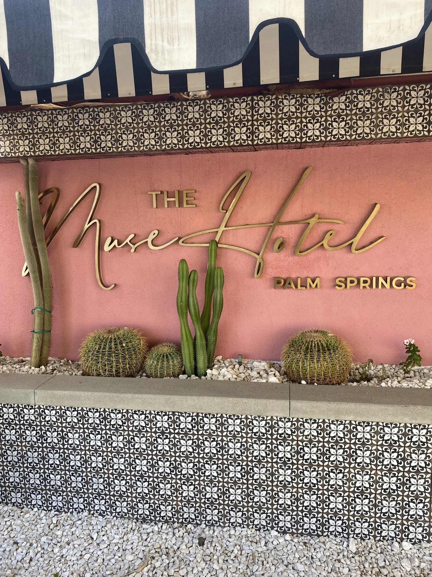 The Muse Hotel entrance sign with cacti and cement tile