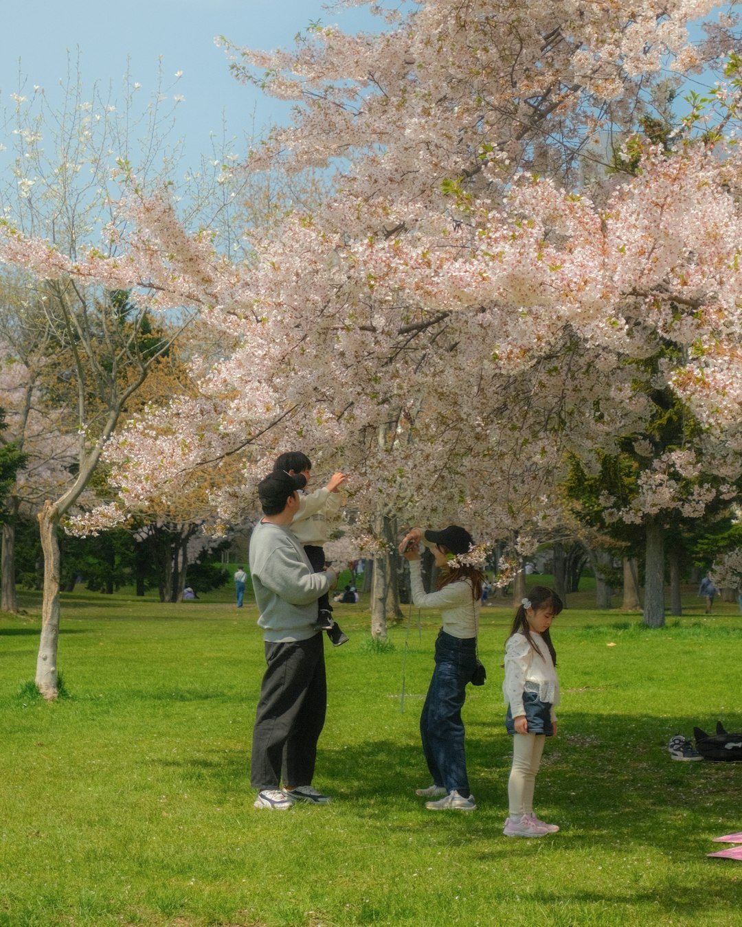 Family supporting a child through emotional challenges in Petaluma CA