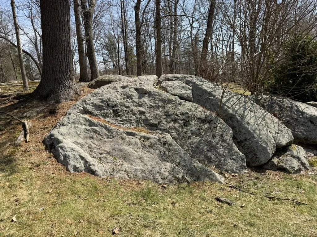 Glacial boulder outcrop on the site