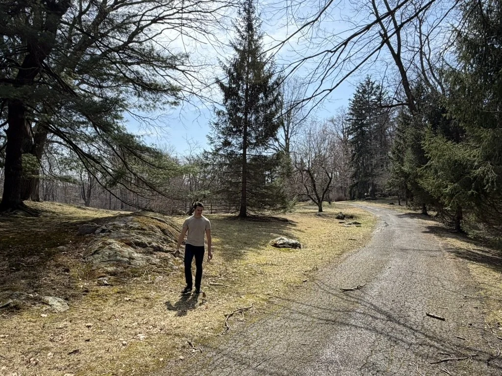 Existing drive through the woodland