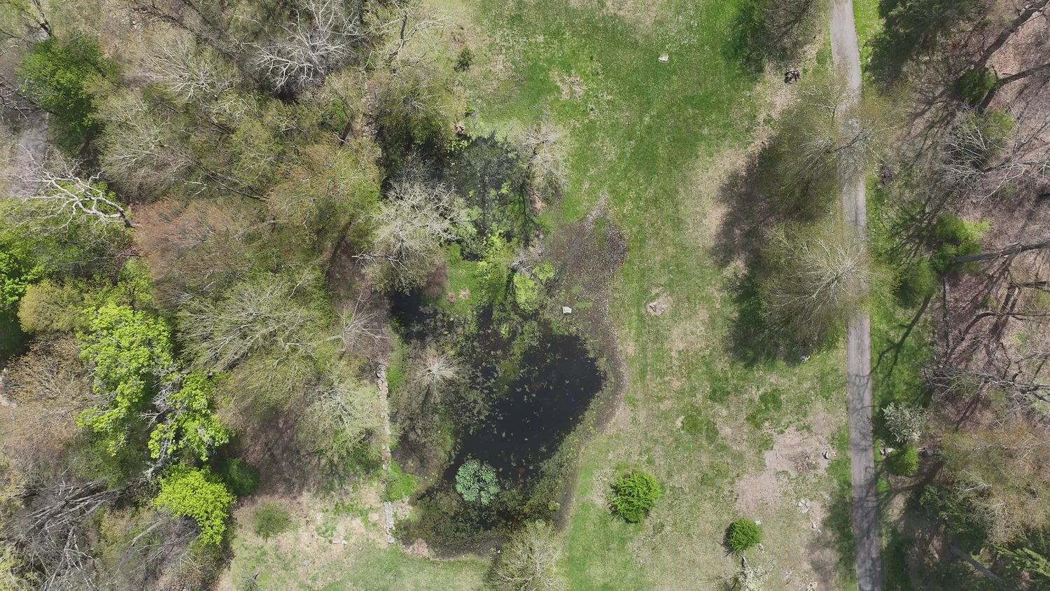 Aerial photograph of the existing property