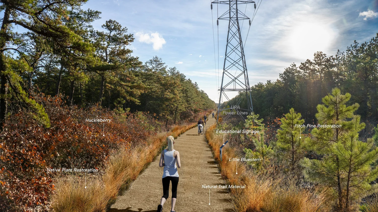 Rendering of the greenway through the Central Pine Barrens