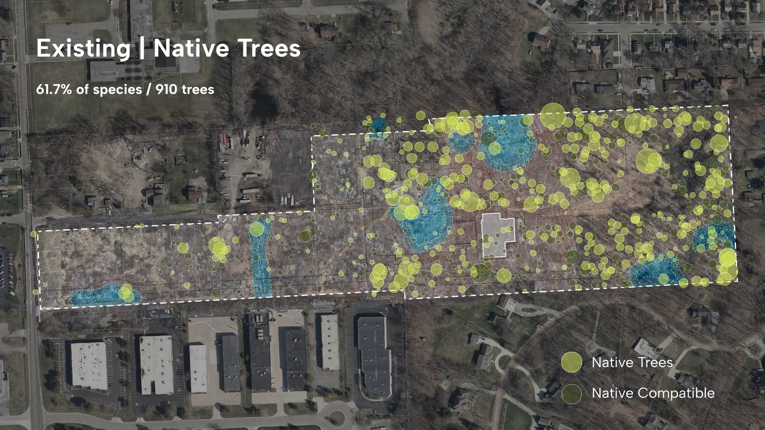 Existing native tree survey across the site