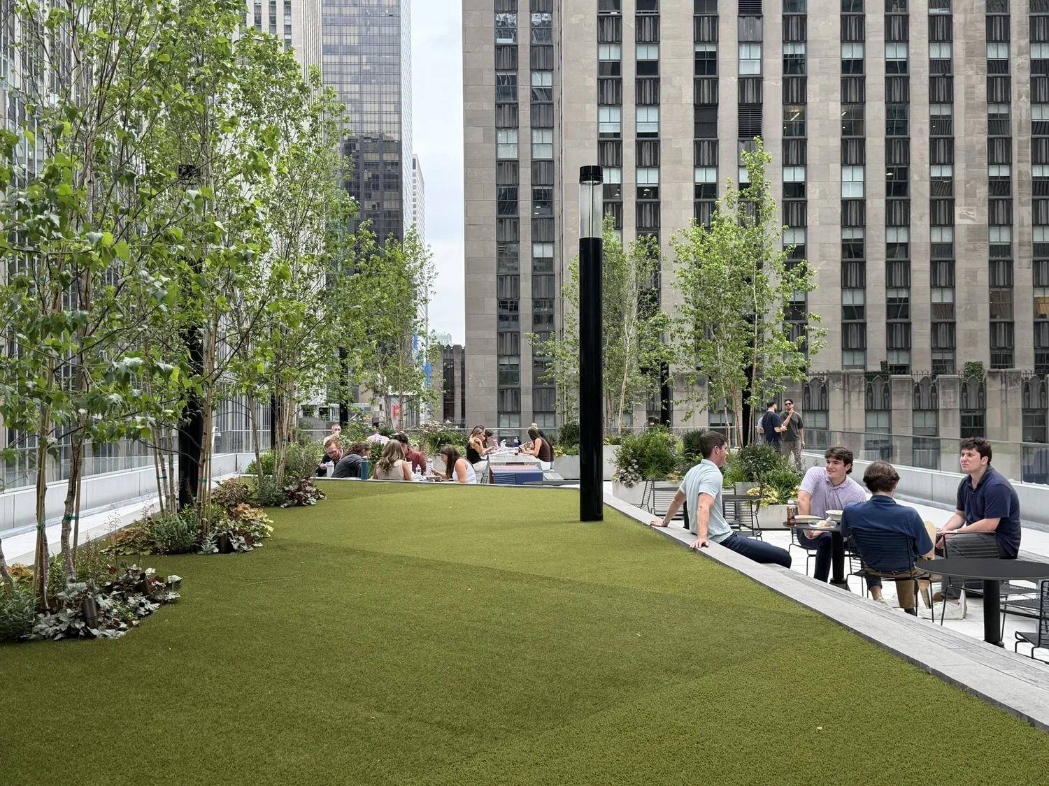 People at tables beside the lawn and multi-stem trees