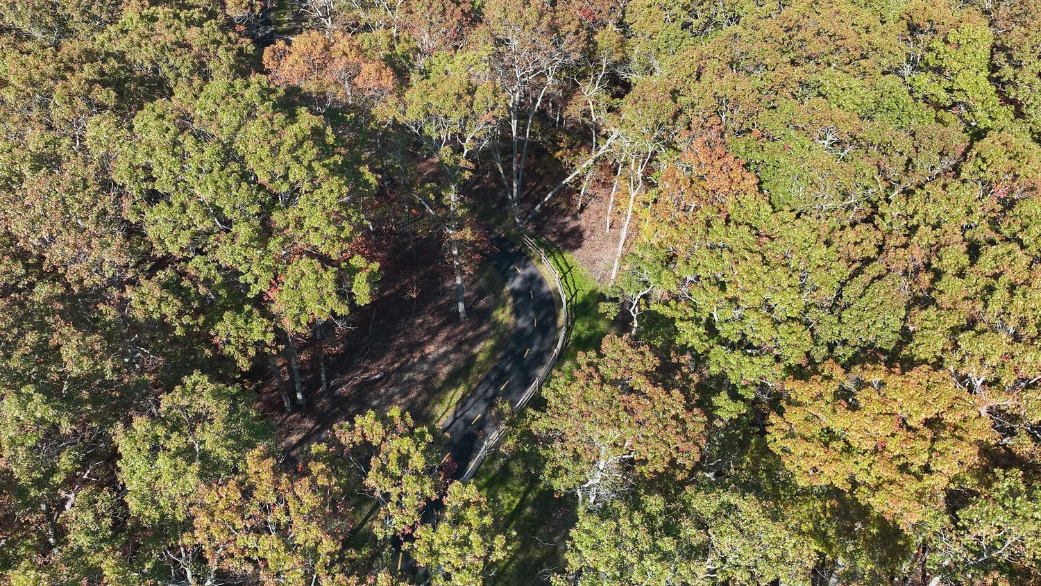 Built portion of the trail at Good Ground Park, Hampton Bays