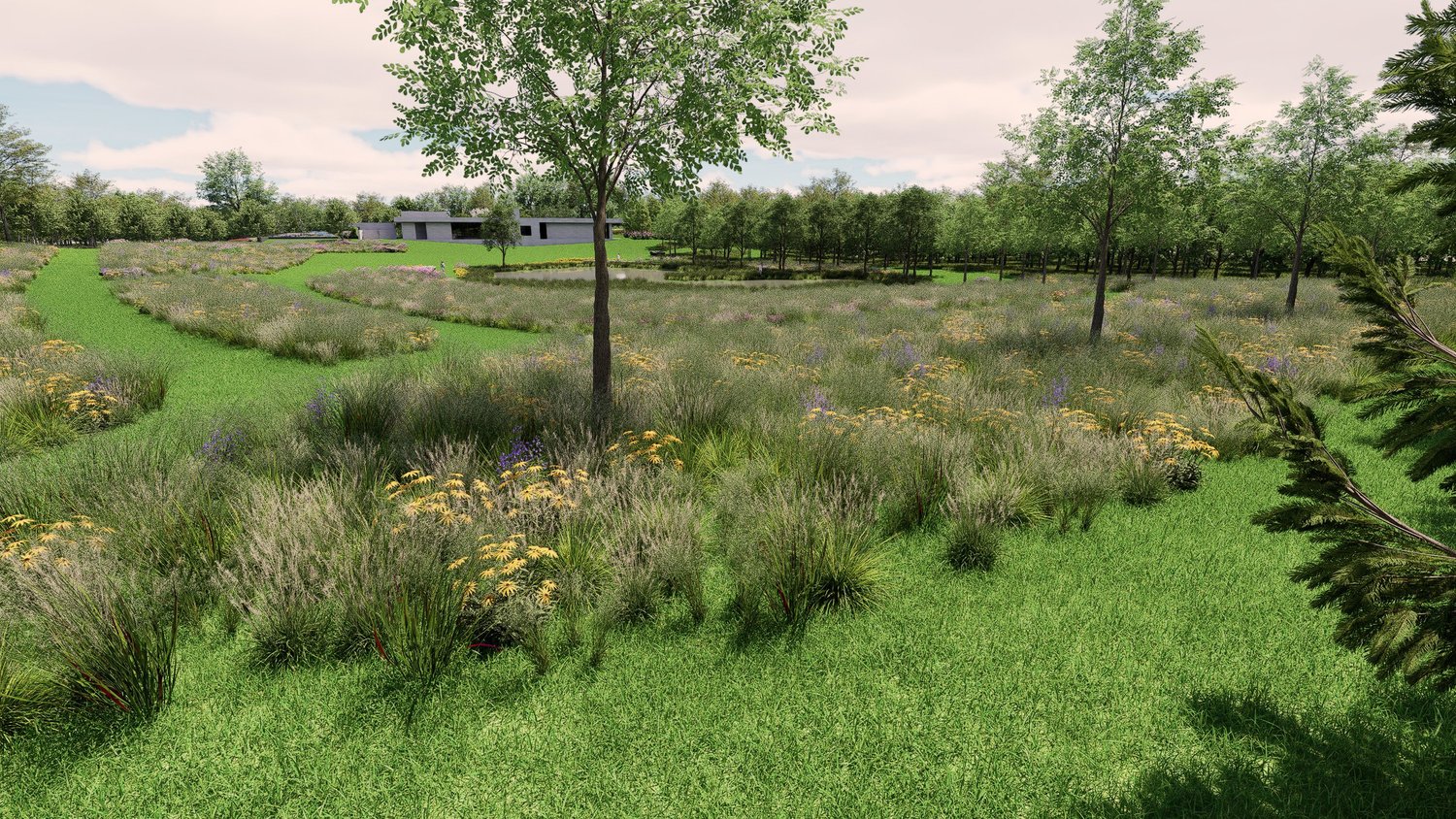 Restored meadow in the lowlands