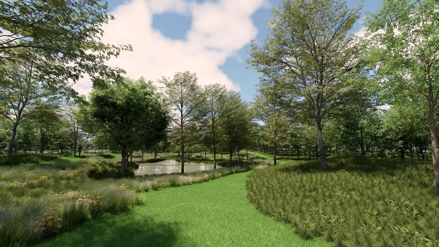 Wetland edge and meadow planting