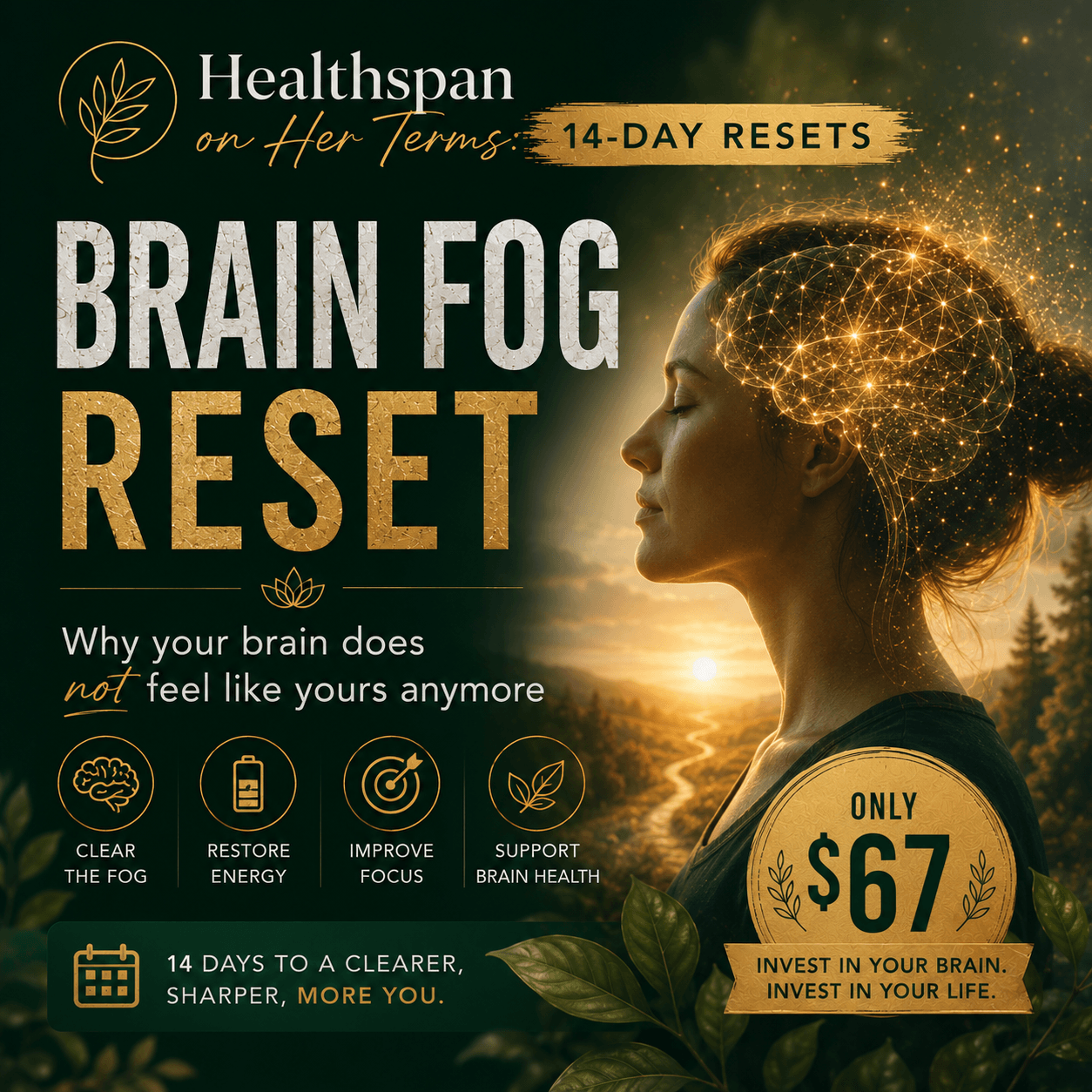 Brain Fog Reset