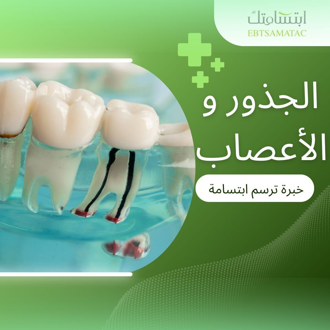 الجذور والأعصاب