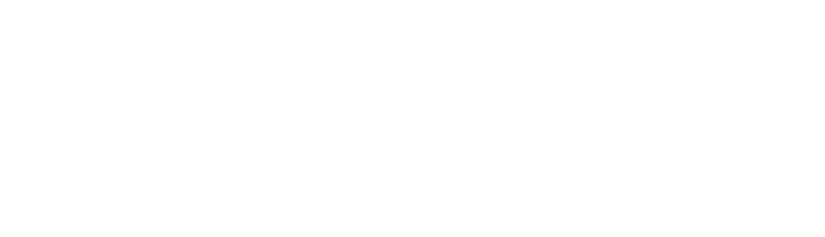 Viaches Media