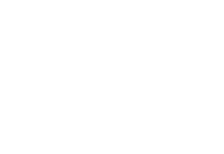 Viaches Media