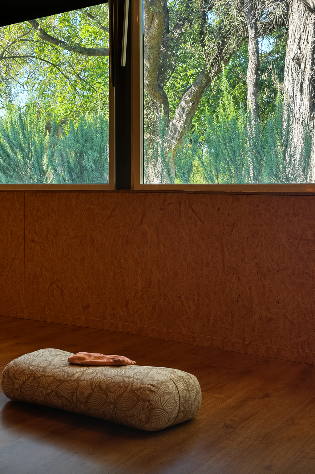 Aula presencial Yebà — Gayapati Studio, Gaia