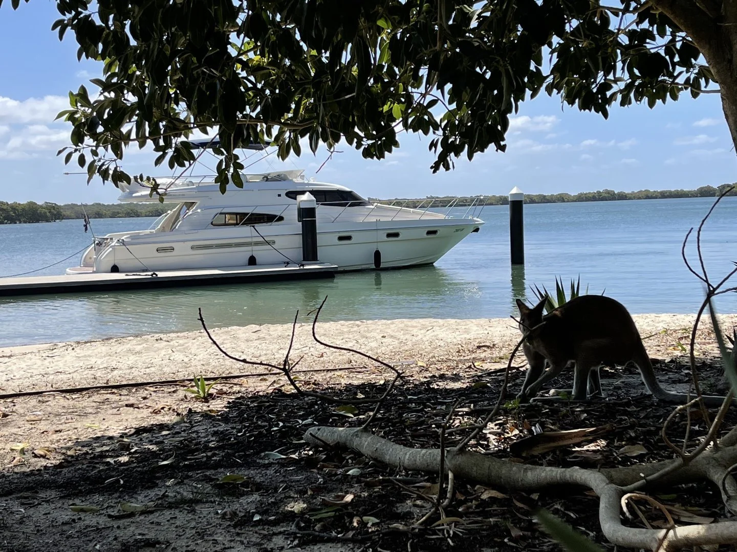 Tipplers destination during a Gold Coast yacht cruise