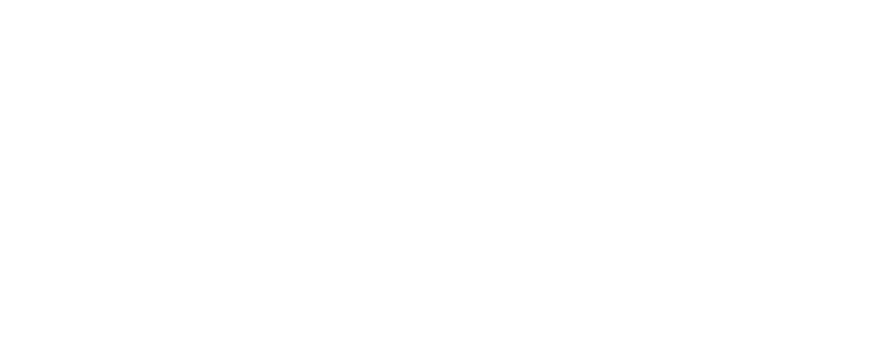 Stella Metal Industries logo