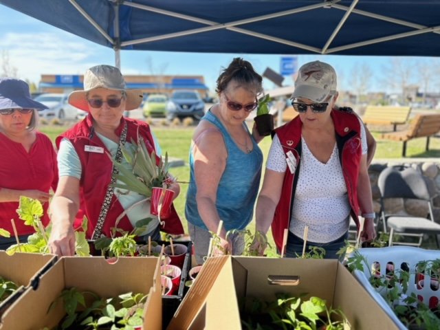 Plant Sale