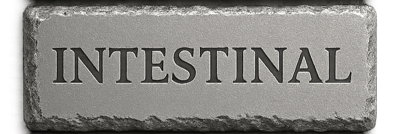 intestinal