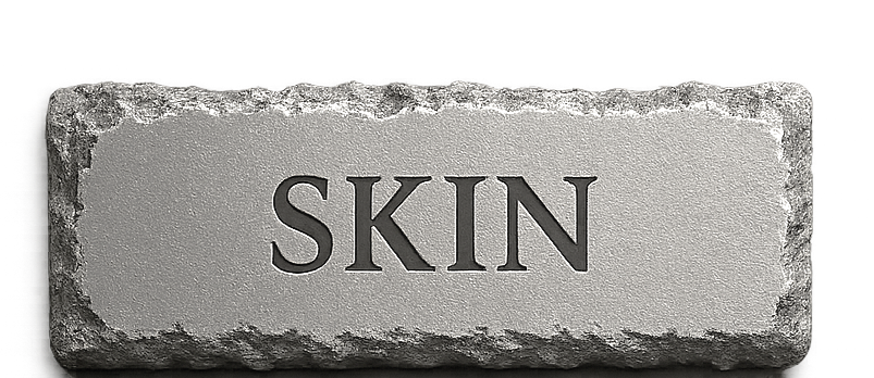 skin