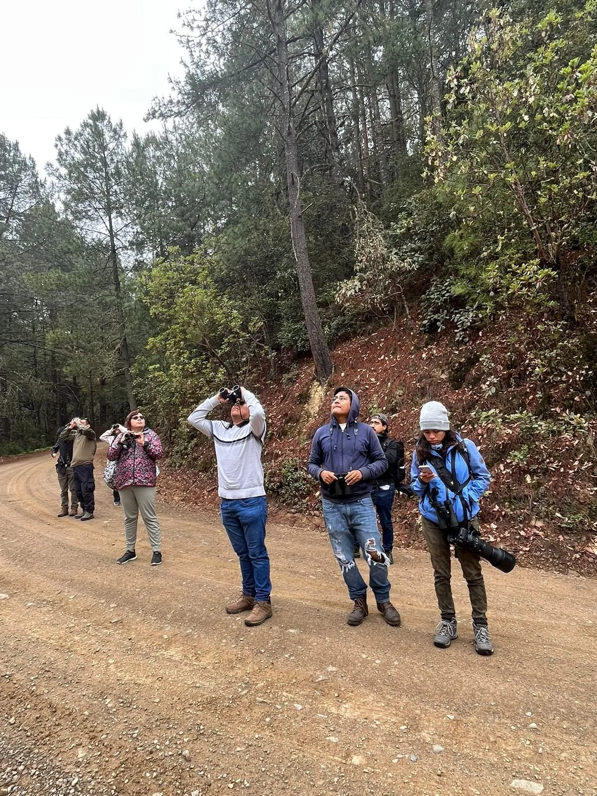 Oaxaca birdwatching landscape