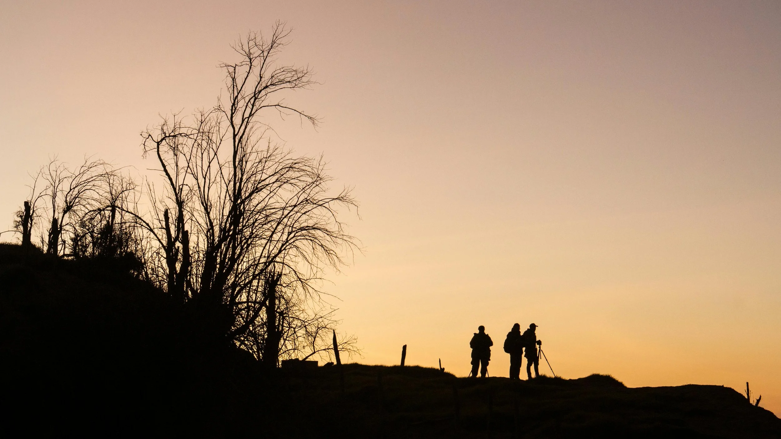 Monte Albán after hours sunset private experience