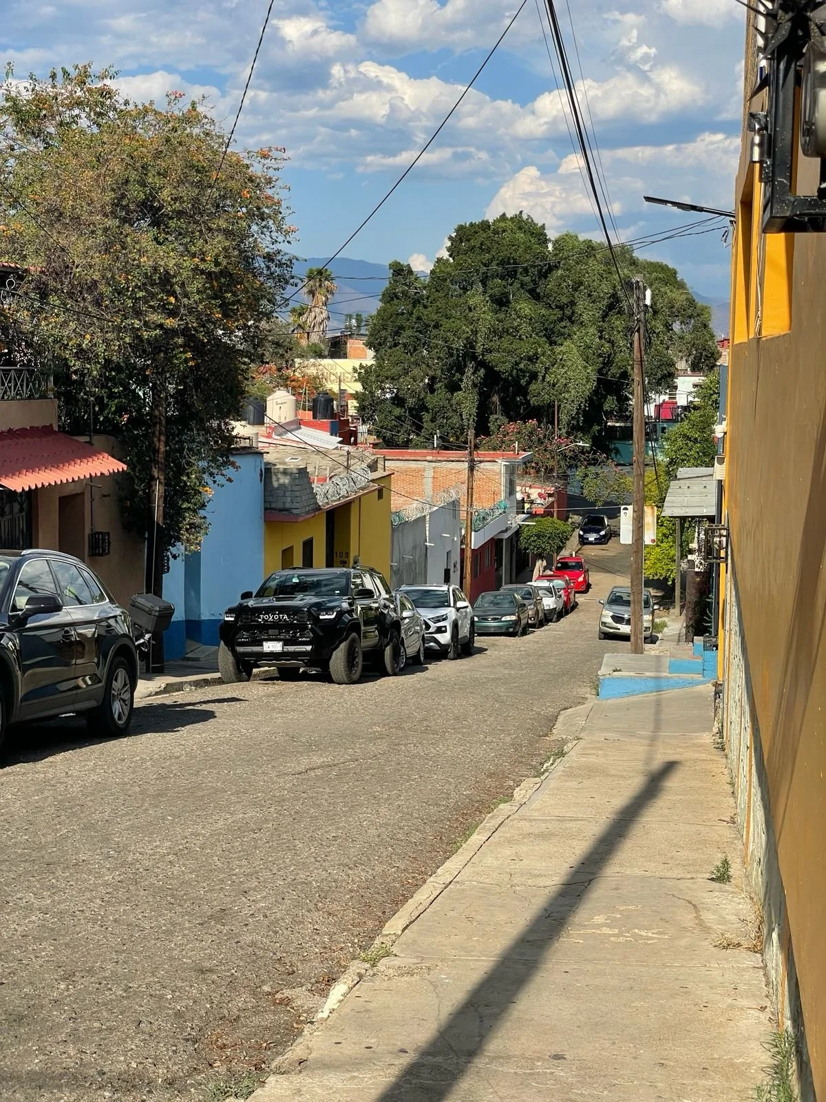 Between Streets and Summits Oaxaca