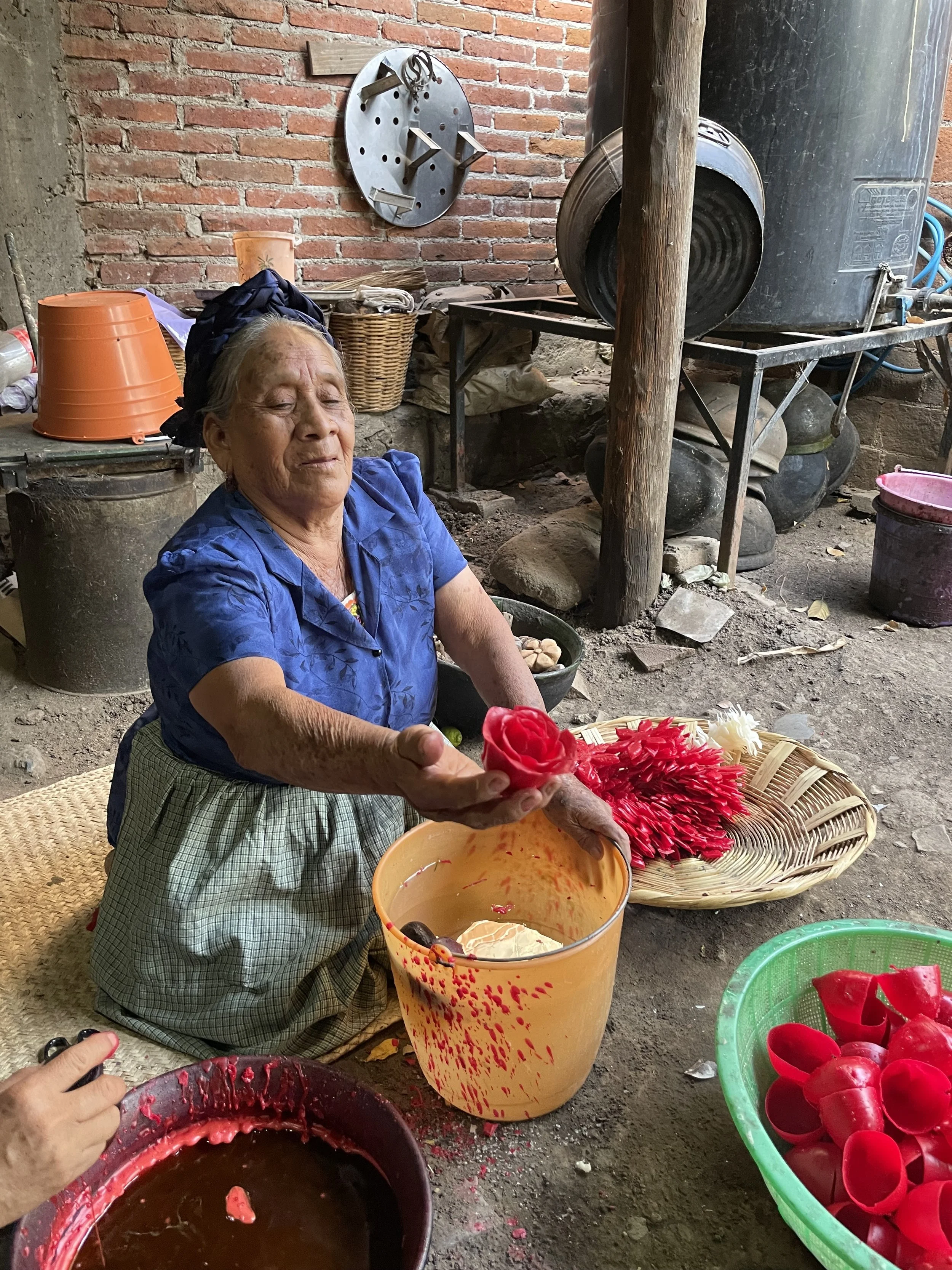 Teotitlán weaving and natural dyes