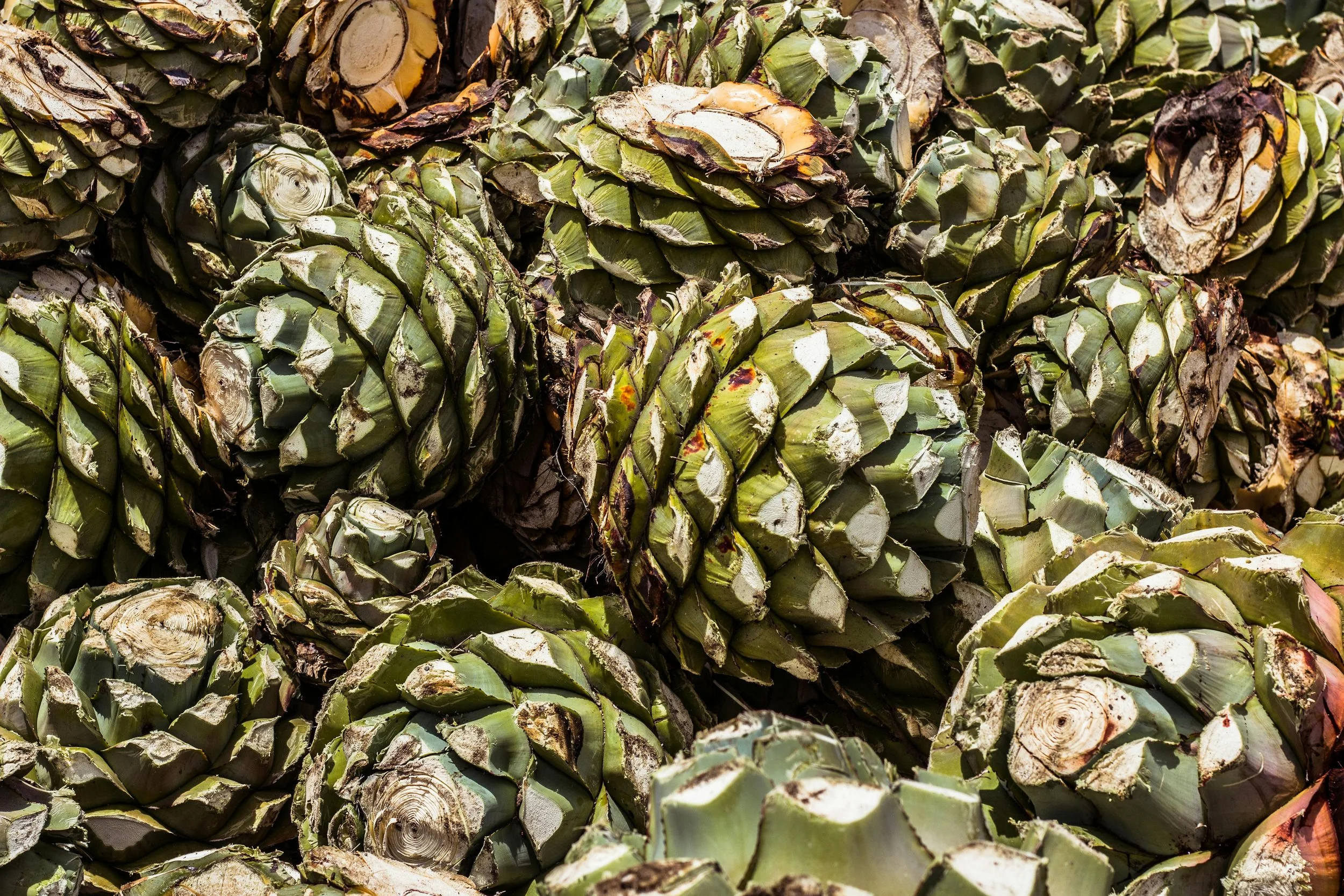 Mezcal bottle and tasting details