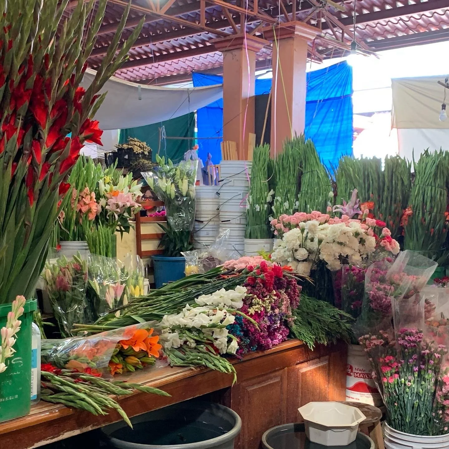 Oaxaca traditional market