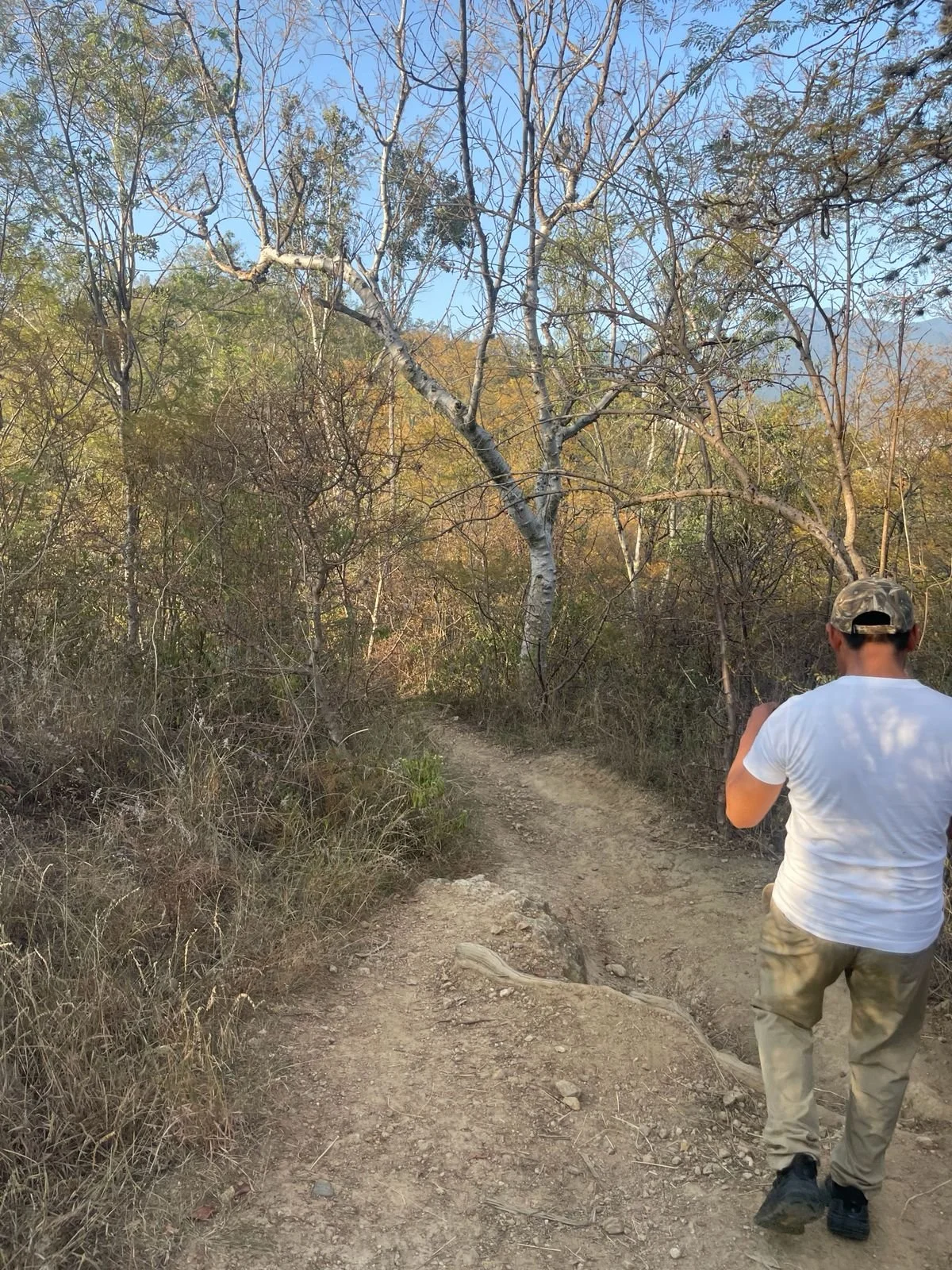 Cerro del Fortín Oaxaca
