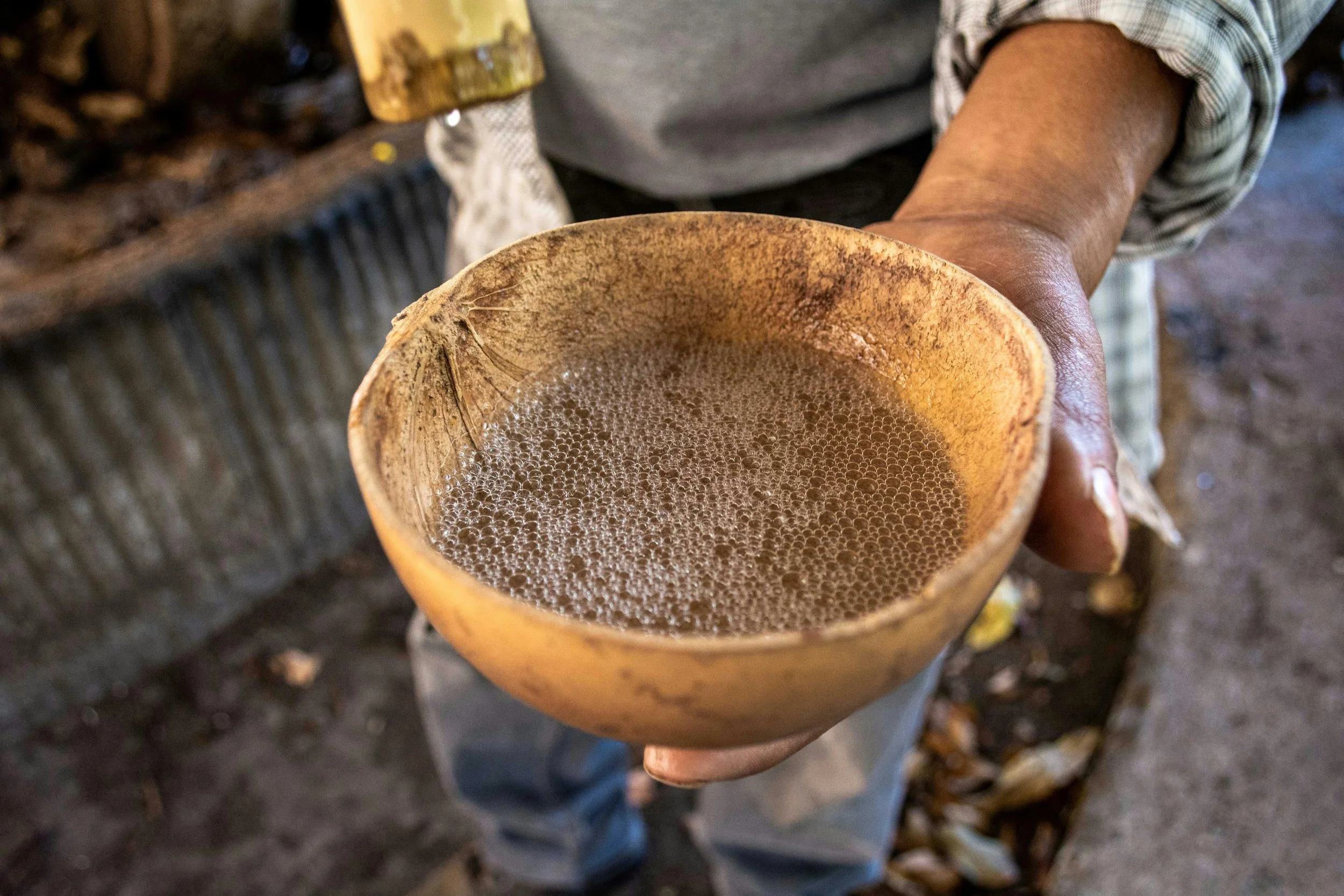 Mezcal experience in Santiago Matatlán Oaxaca