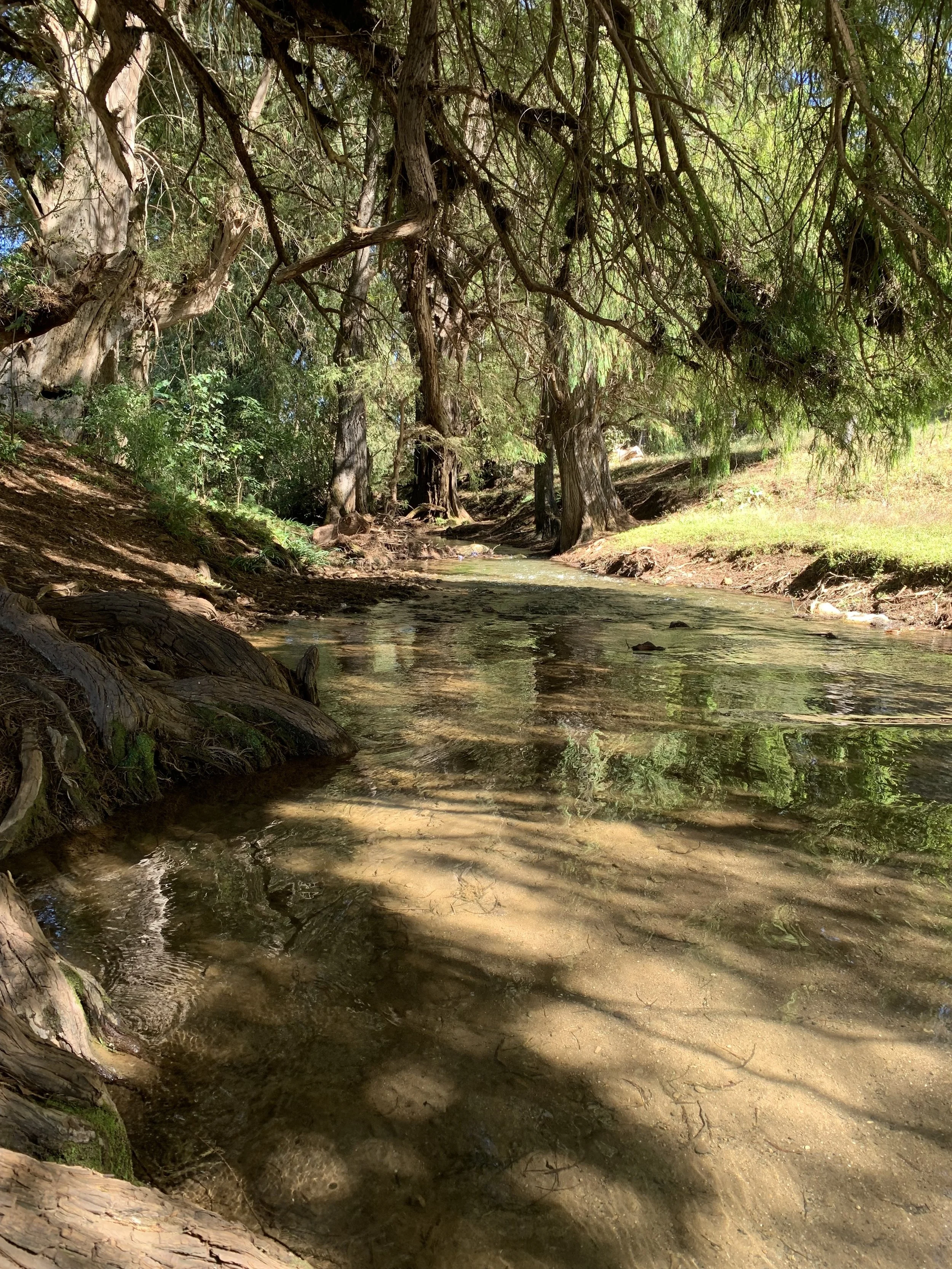Private hiking guide in Oaxaca