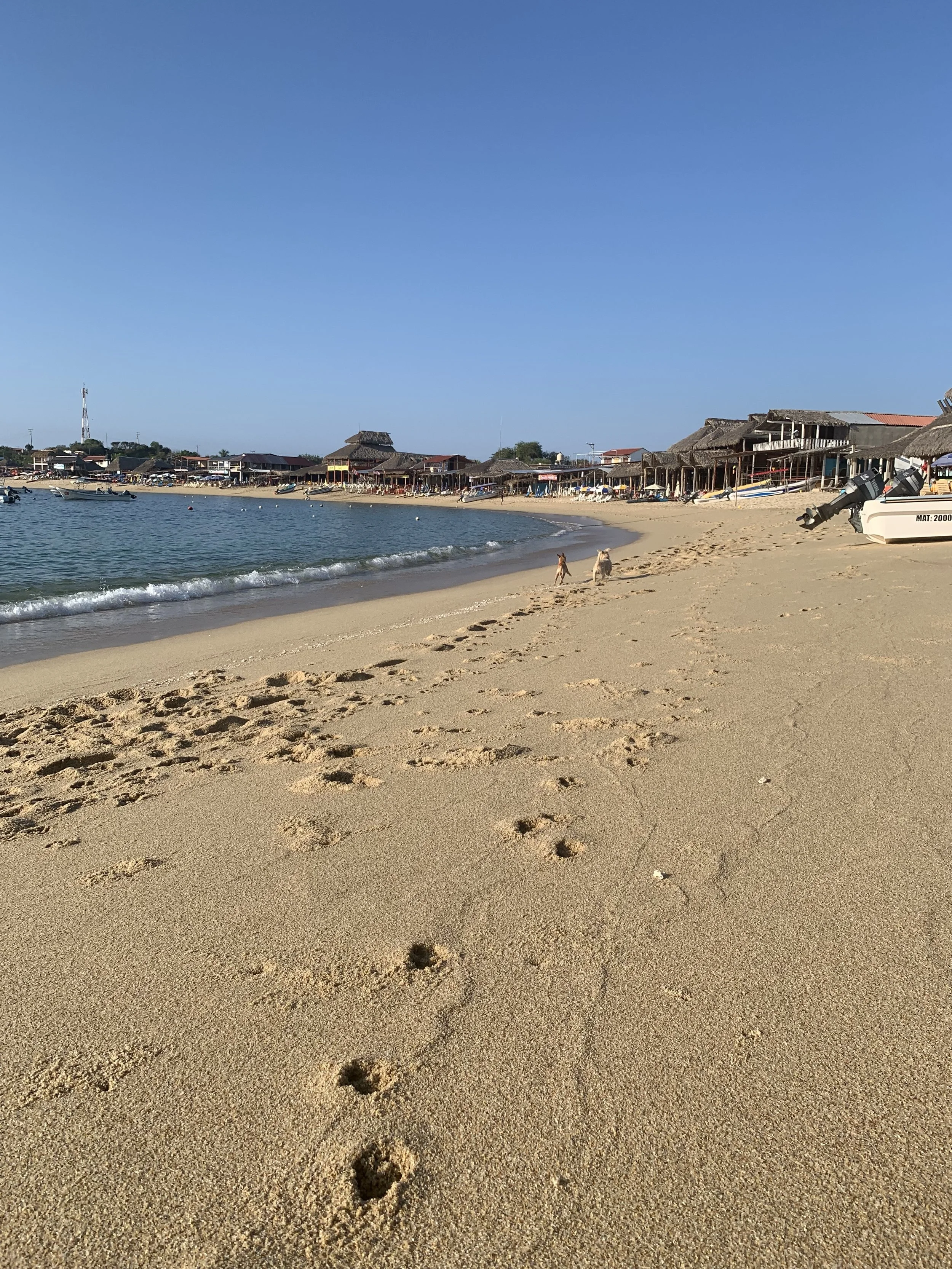 Puerto Escondido coastal escape from Oaxaca
