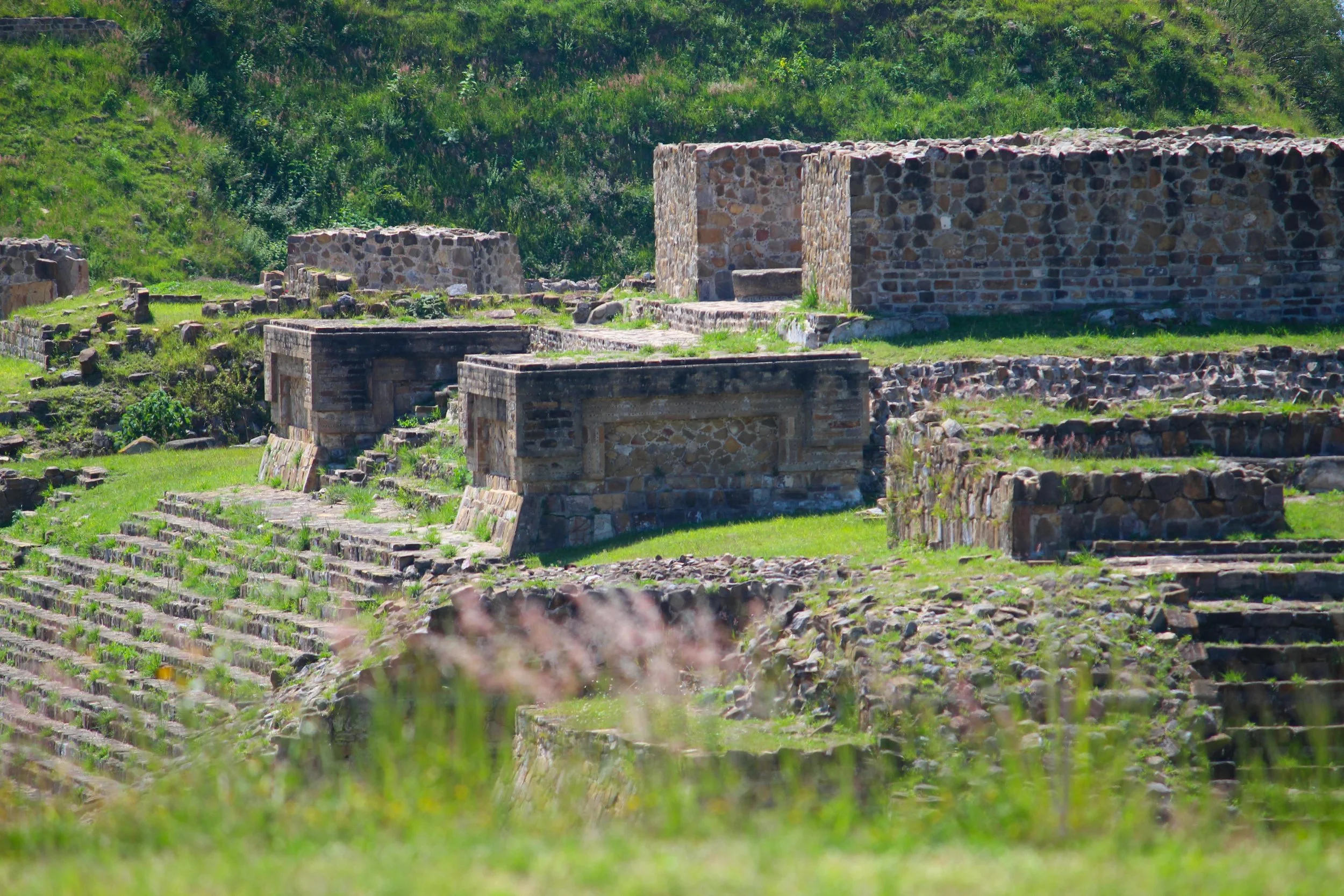 Monte Albán valley views