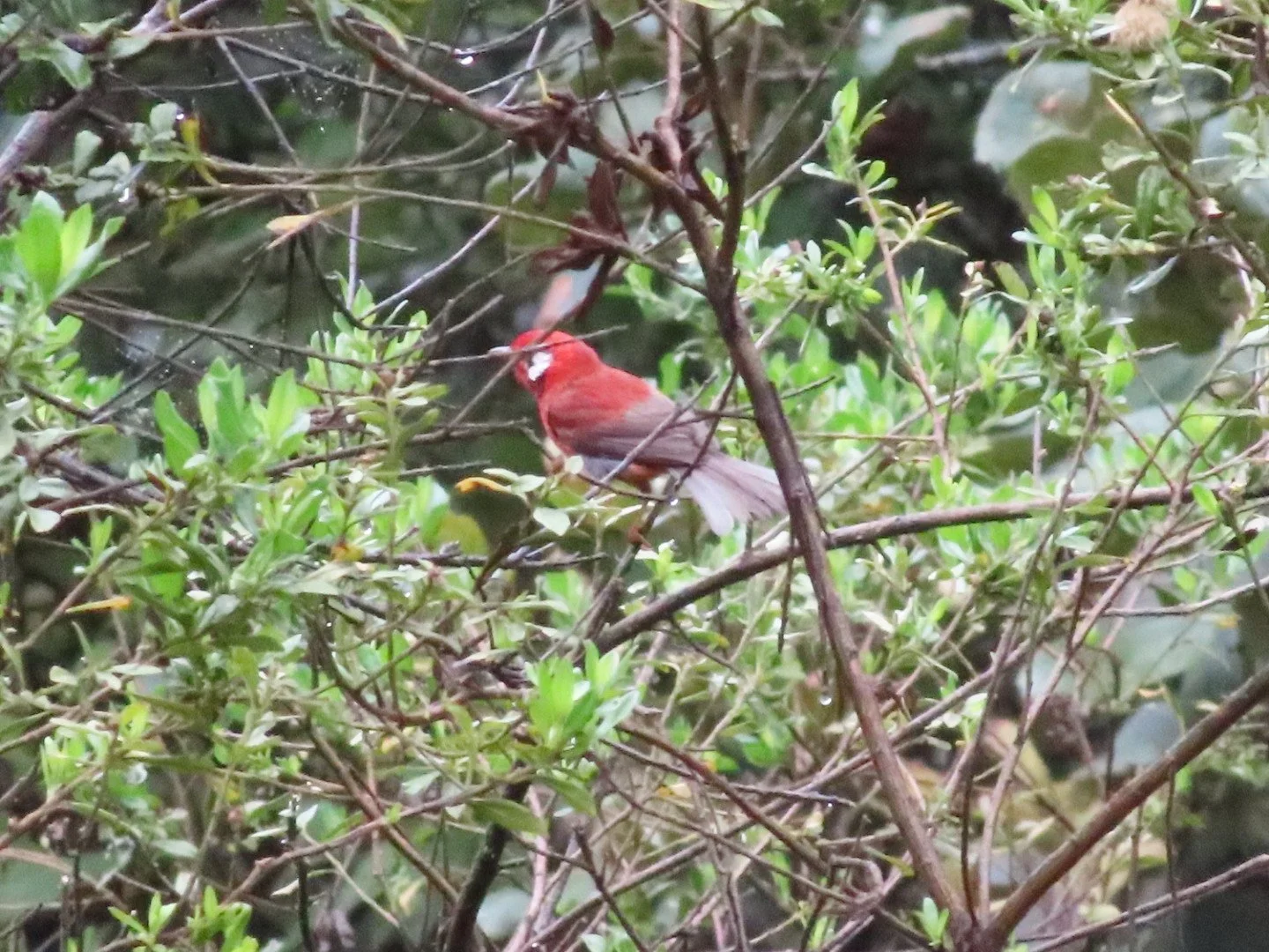 Nature walk in Teotitlán del Valle