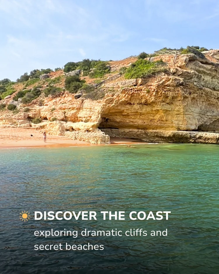 Coastal cliffs