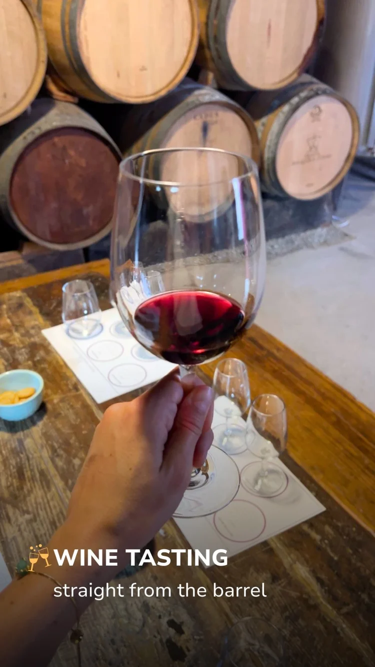 Wine tasting