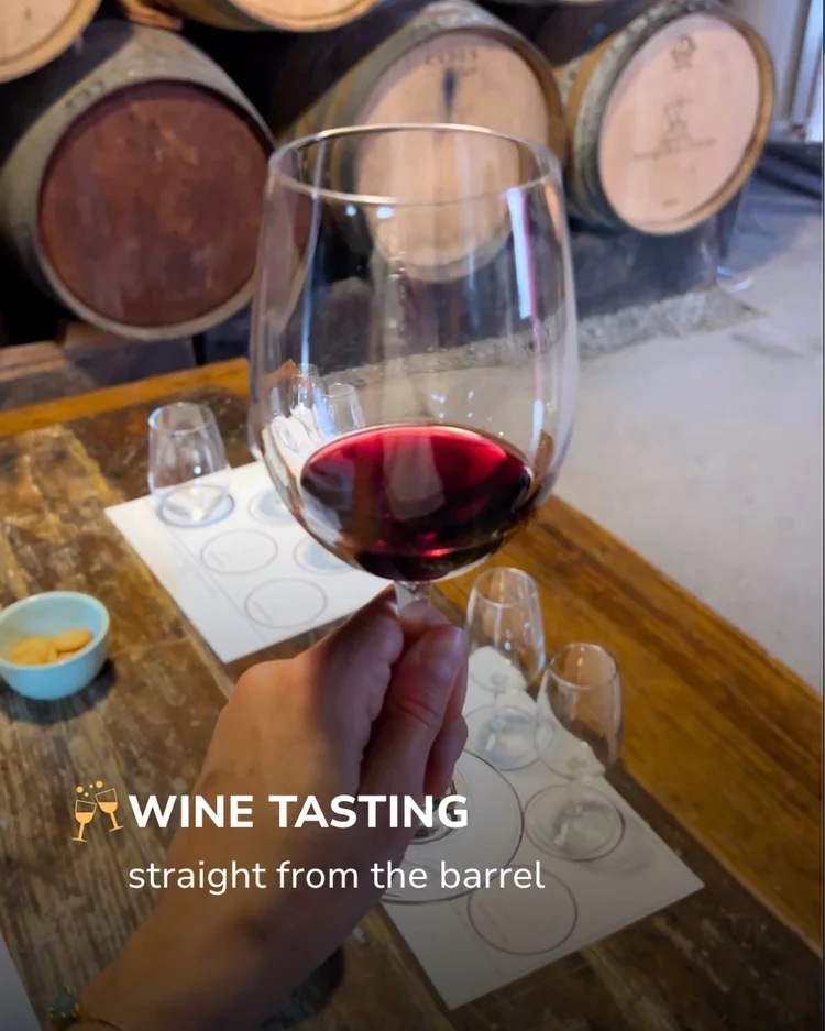 Wine tasting