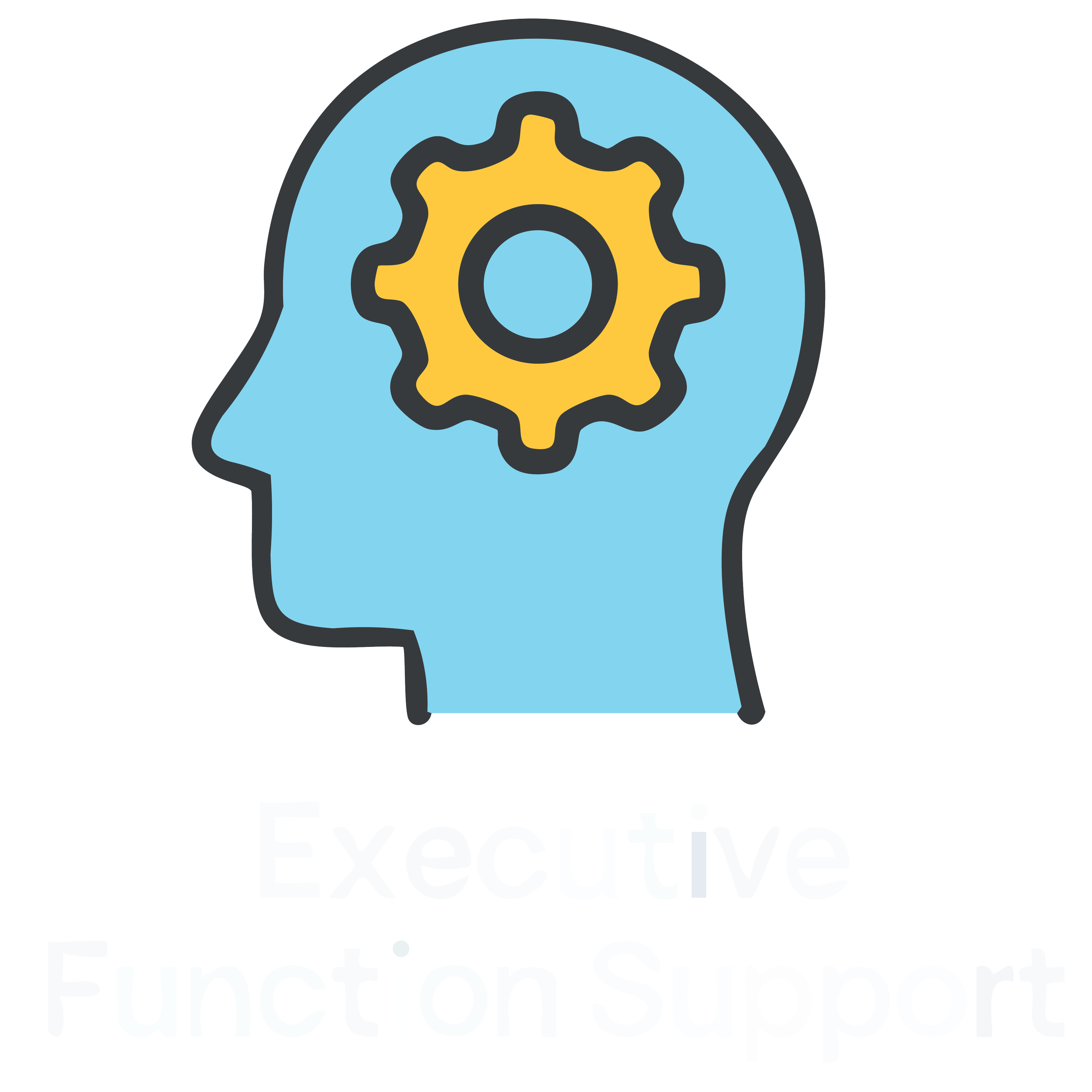 Executive Function Support