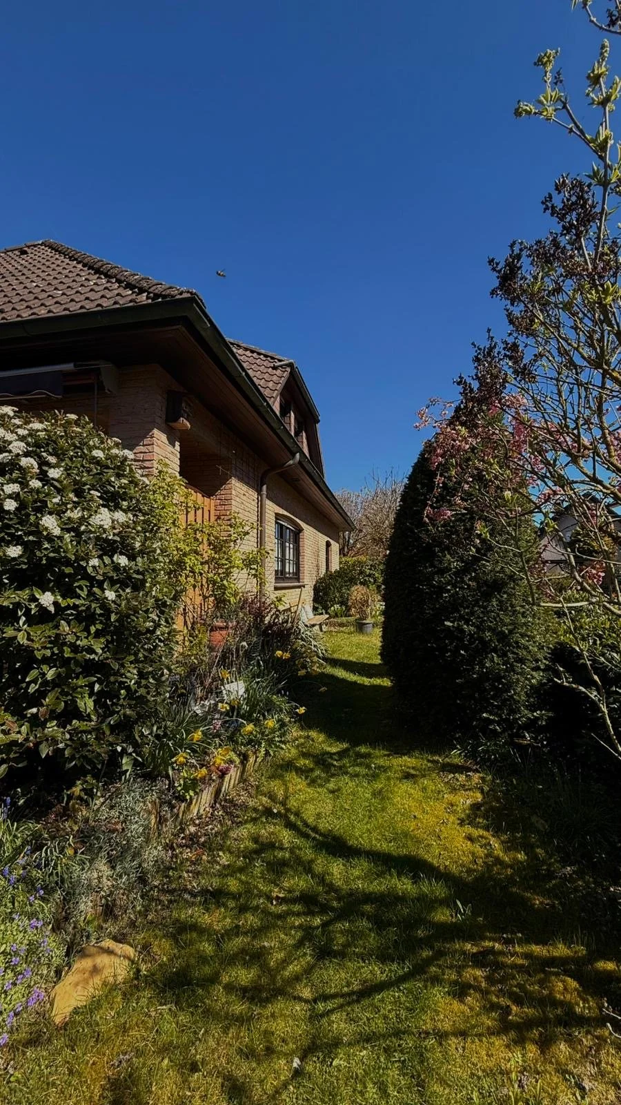 Hausansicht 2