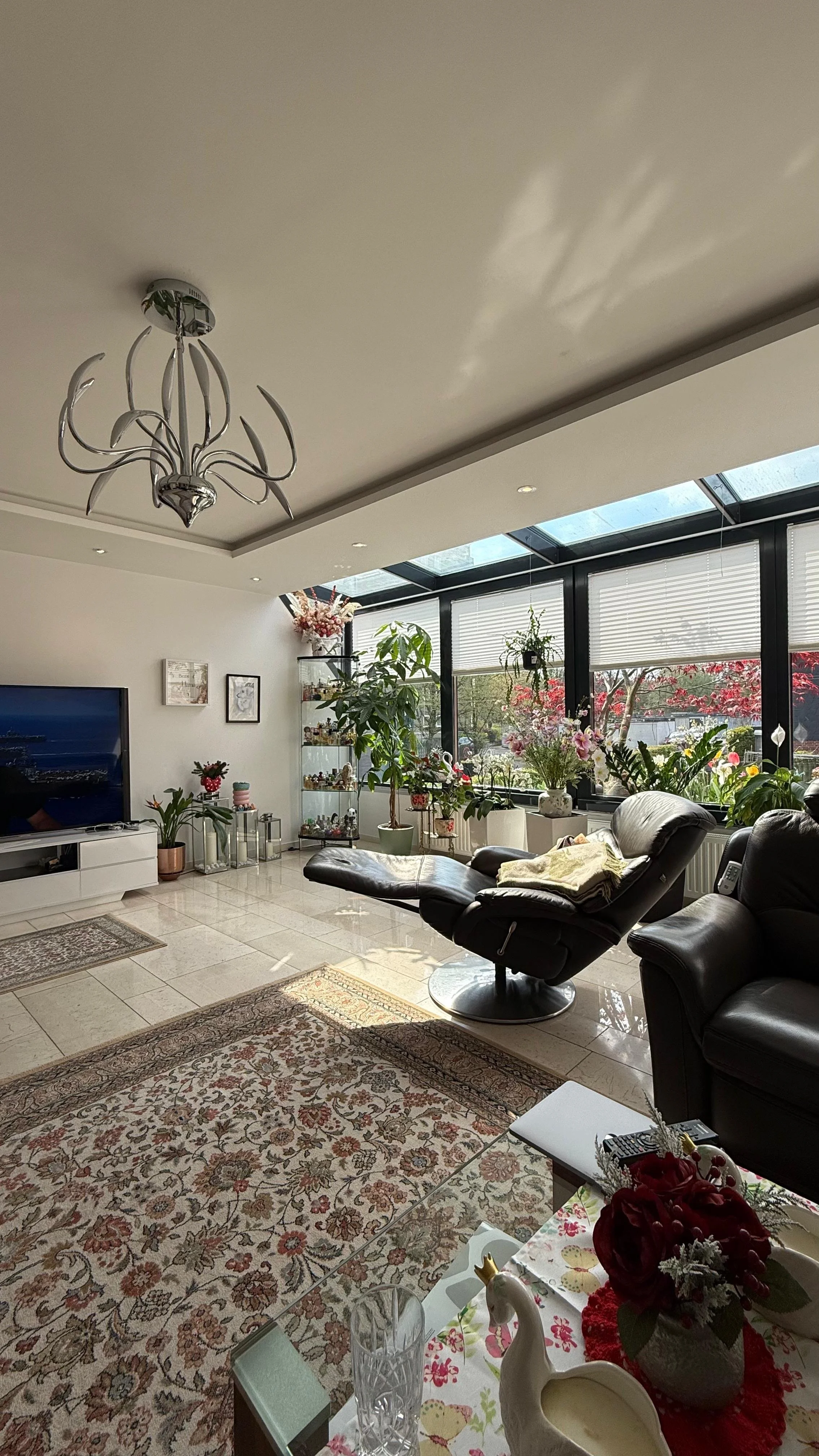 Reihenhaus Osnabrück Bild 3