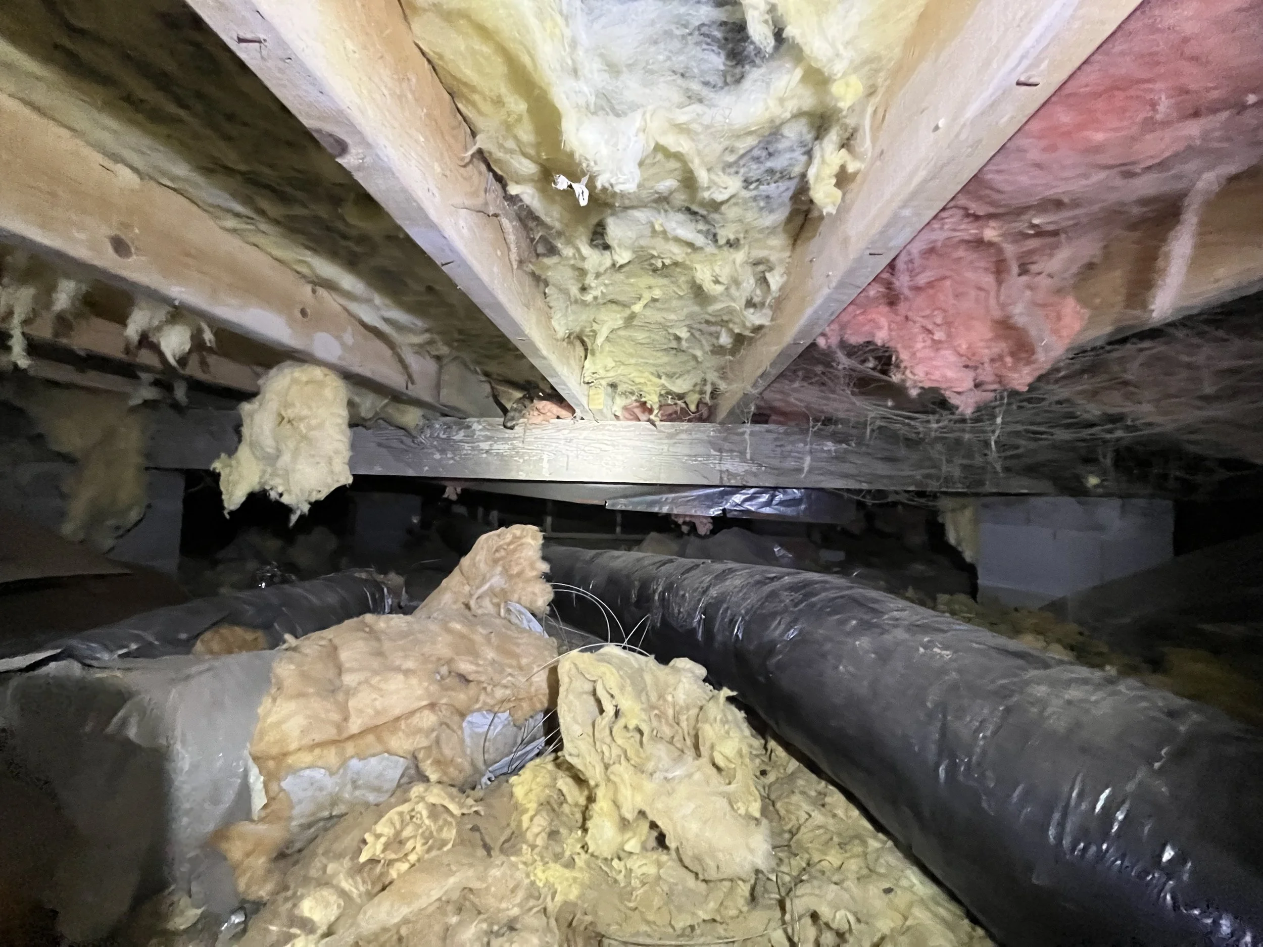 Before belly board repair