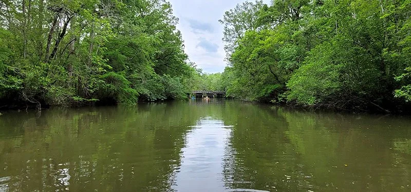 Great Pee Dee River