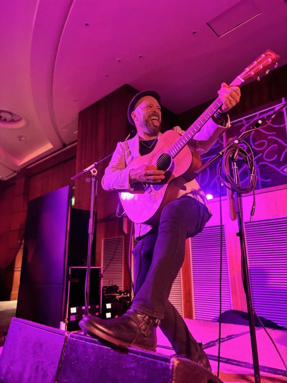 Fairvue live performance