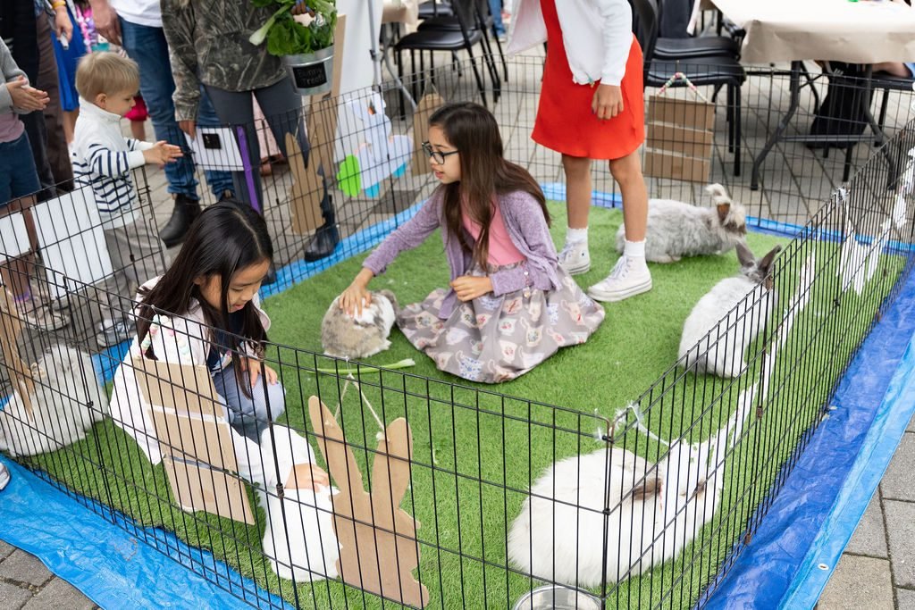 Fairy Garden Trail Vancouver — event moment