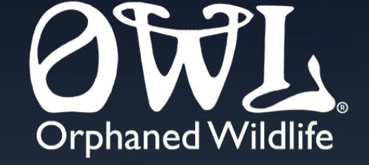 OWL Orphaned Wildlife