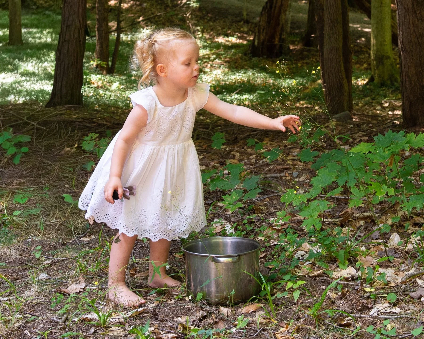 Child gathering nature treasures for fairy soup