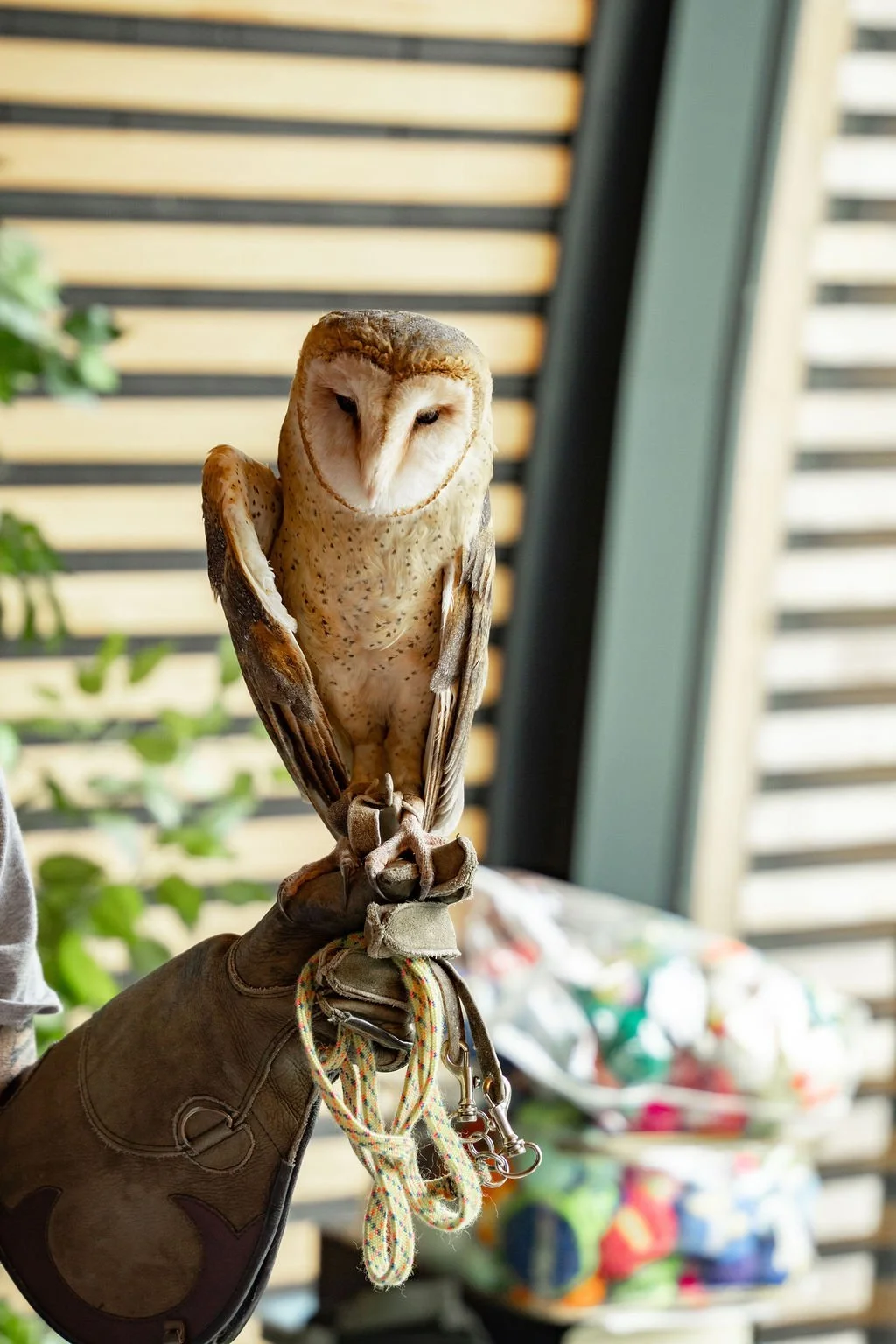 Fairy Garden Trail Vancouver — event moment