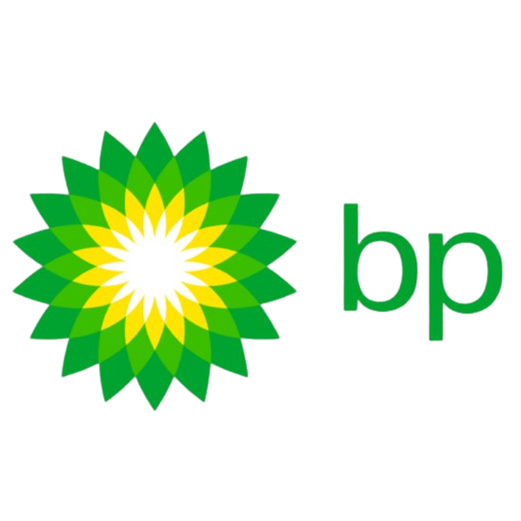 Logo 1