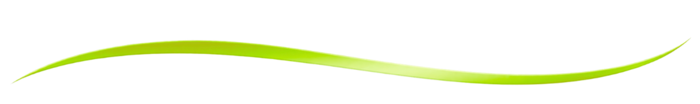 Green decorative wave beneath Kiwi Spa couples facial heading