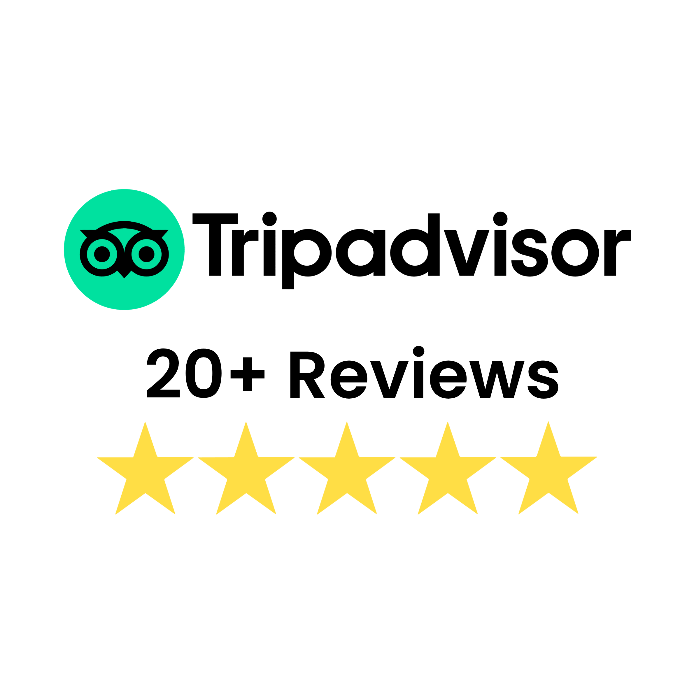 Tripadvisor five star reviews for Kiwi Spa in Pacific Beach San Diego